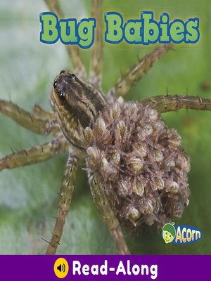 cover image of Bug Babies